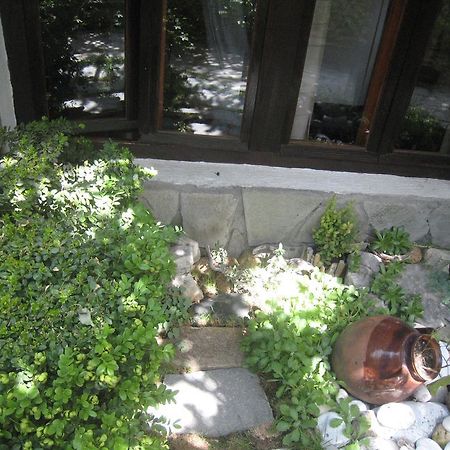 Guest House Voyno Dobrinishte Exterior photo